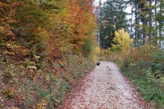 20151021_100054