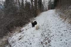 20160301_103501