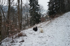 20160301_103600