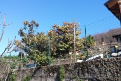 20160326_145950