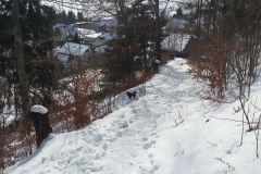 20170128_130840