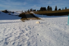 20170225_164439