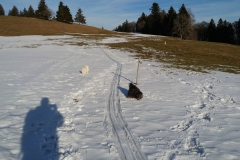 20170225_164556