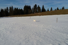 20170225_164606