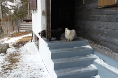 20170226_104900