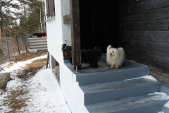 20170226_104902