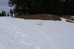 20170226_105948