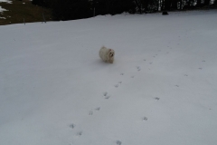20170226_110913